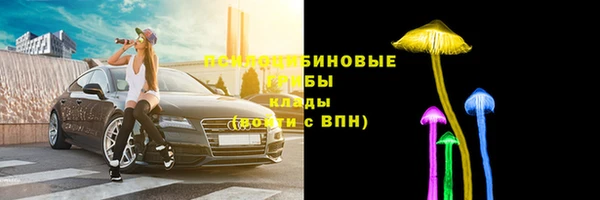 стаф Покровск