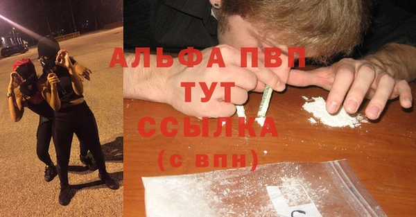 PSILOCYBIN Белокуриха