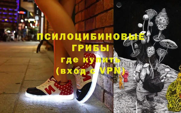 бошки Богданович