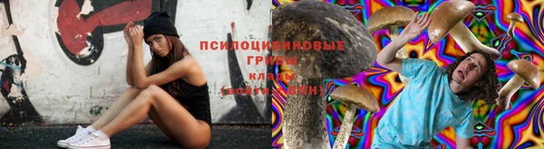 кокаин премиум Бородино