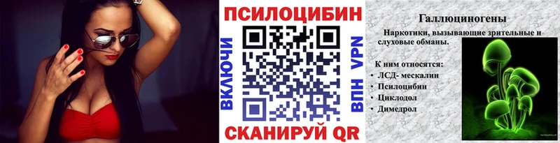 omg как войти  Высоцк  Галлюциногенные грибы прущие грибы 