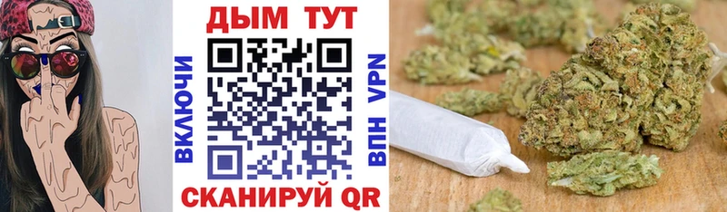 Бошки марихуана планчик  Высоцк 